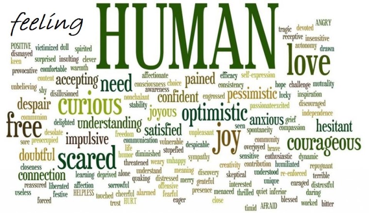 22279689_1210003125767819_2534520649292742519_n