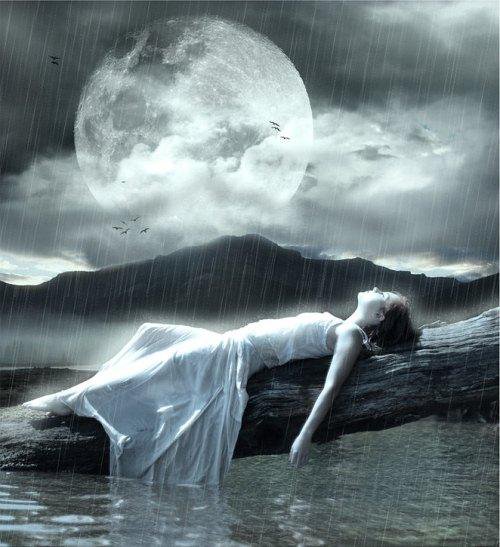 35540_409753698395_798678395_4303234_2161206_n