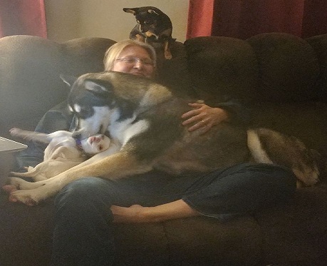 17157629_10212443022576179_3901280311305281418_o