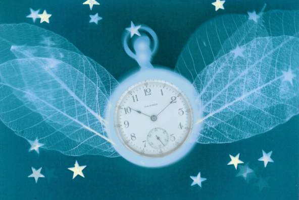 56757431_3200388916638731_284100515988504576_n