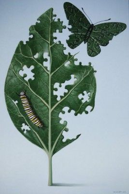 6361fe735c1ecb52c6be830e24bc5be6