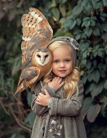 Screenshot_20190424-082554_Facebook