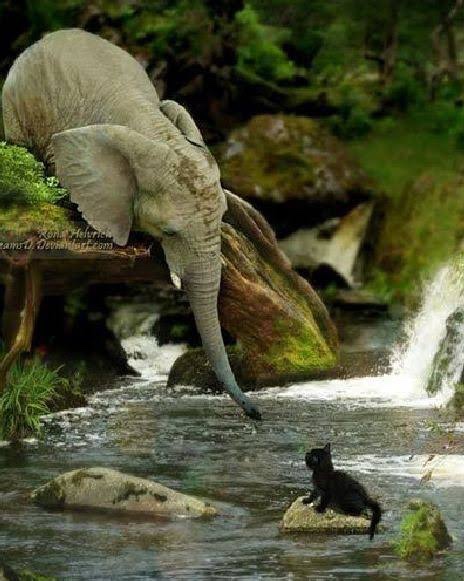 12f3d0c0-3cde-4548-ae72-35cecd9e1b2f-3580-00000113b499c1c8